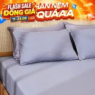 Bộ Ga chun microfiber Amando Ellie họa tiết 4 chi tiết