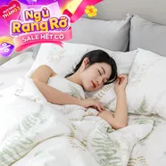 Bộ ga chun tencel Amando Celia 4 chi tiết TP002