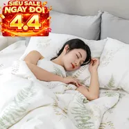 Bộ ga chun tencel Amando Celia 4 chi tiết TP002