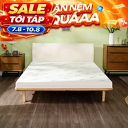 Nệm cao su đa tầng Gummi Lite giá tốt dày 10cm
