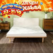 Nệm cao su đa tầng Gummi Lite giá tốt dày 10cm