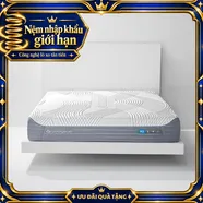 Nệm lò xo Bedgear H2 Hybrid thoáng khí kép dày 26cm (Phiên bản giới hạn)