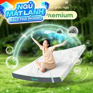 Nệm cao su thiên nhiên Gummi Premium detox giấc ngủ