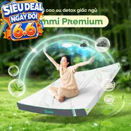 Nệm cao su thiên nhiên Gummi Premium detox giấc ngủ