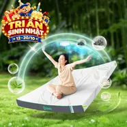 Nệm cao su thiên nhiên Gummi Premium detox giấc ngủ