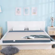 Nệm foam Goodnight Massage lượn sóng gọn nhẹ
