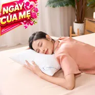 Gối lông vũ nhân tạo Goodnight Mochi siêu êm chuẩn khách sạn 5 sao