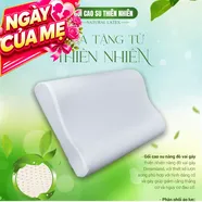 Gối Cao su Dreamland nâng đỡ vai gáy