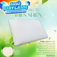 Gối Cao su Dreamland Ovan