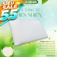 Gối Cao su Dreamland Ovan