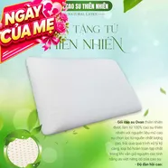 Gối Cao su Dreamland Ovan