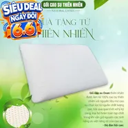 Gối Cao su Dreamland Ovan