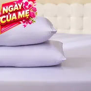Vỏ gối tencel cao cấp Goodnight Airsilk