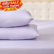 Vỏ gối tencel cao cấp Goodnight Airsilk