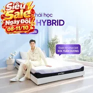 (Phiên bản Pro 2026 - x3 Kikoo) Nệm foam Goodnight Active Hybrid làm mát
