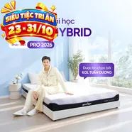 (Phiên bản Pro 2026 - x3 Kikoo) Nệm foam Goodnight Active Hybrid làm mát