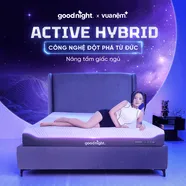 Nệm foam công nghệ Đức Goodnight Active Hybrid dày 20cm