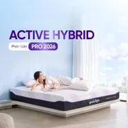 (Phiên bản Pro 2026 - x3 Kikoo) Nệm foam Goodnight Active Hybrid làm mát