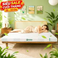 Nệm Gummi Signature – Công nghệ kép, nâng đỡ vượt trội, kháng khuẩn tối đa