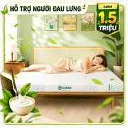 Nệm Gummi Signature – Công nghệ kép, nâng đỡ vượt trội, kháng khuẩn tối đa