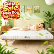 Nệm Gummi Signature – Công nghệ kép, nâng đỡ vượt trội, kháng khuẩn tối đa