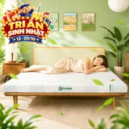Nệm Gummi Signature – Công nghệ kép, nâng đỡ vượt trội, kháng khuẩn tối đa