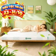Nệm Gummi Signature – Công nghệ kép, nâng đỡ vượt trội, kháng khuẩn tối đa