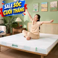 Nệm Gummi Signature – Công nghệ kép, nâng đỡ vượt trội, kháng khuẩn tối đa