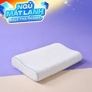 Gối foam công thái học cao cấp Goodnight Nori 2.0