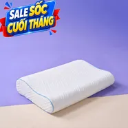 Gối foam công thái học cao cấp Goodnight Nori 2.0
