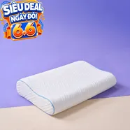 Gối foam công thái học cao cấp Goodnight Nori 2.0