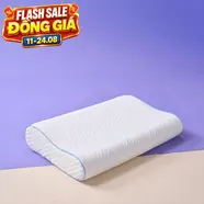Gối foam công thái học cao cấp Goodnight Nori 2.0