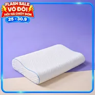 Gối foam công thái học cao cấp Goodnight Nori 2.0