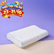 Gối foam công thái học cao cấp Goodnight Nori 2.0