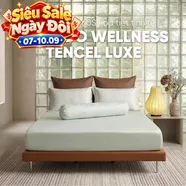 Bộ ga chun Amando Wellness Tencel Luxe Họa Tiết 4CT - Tencel 60S tinh tế