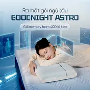 Gối ngủ sâu Memory foam 40D Goodnight Astro lõi kép