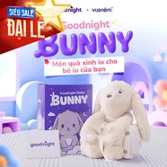 Bộ chăn thú bông Goodnight Bebé Bunny