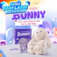 Bộ chăn thú bông Goodnight Bebé Bunny