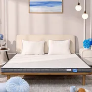 [TẶNG GỐI FOAM 800K] Nệm foam iComfy Basic 1.0 giá tiết kiệm