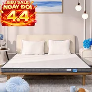 Nệm foam iComfy Basic 1.0 giá tiết kiệm