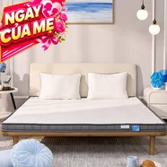 Nệm foam iComfy Basic 1.0 giá tiết kiệm