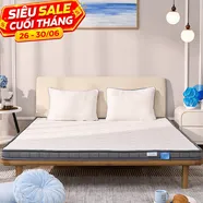 Nệm foam iComfy Basic 1.0 giá tiết kiệm