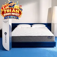 Nệm lò xo túi độc lập thế hệ mới Amando Goodnight Magic nâng đỡ êm ái 20cm