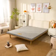 Nệm Bông ép Wonjun Pure (Gấp 3)