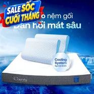 Combo Đàn Hồi Thoáng Khí: 1 đệm Cloud 2.0 + 2 gối Nami