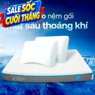 Combo Mát Sâu Đa Tầng 2: 1 đệm Coolax + 2 gối Sofy Air