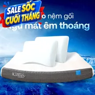 Combo Ngủ Mát Êm Sâu 2: 1 đệm Coolax Plus + 2 gối Sofy Air