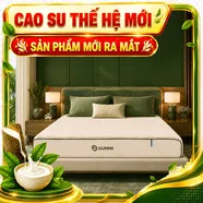 Nệm cao su cân bằng nhiệt 3in1 Gummi Hybrid Plus