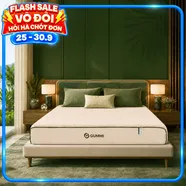 Nệm cao su cân bằng nhiệt 3in1 Gummi Hybrid Plus