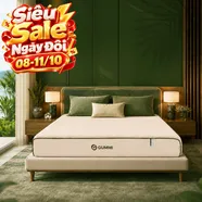 Nệm cao su cân bằng nhiệt 3in1 Gummi Hybrid Plus